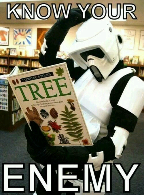 Tree is enemy - meme