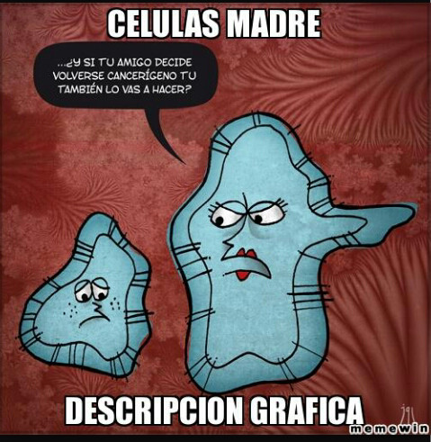 Celulas madre - meme