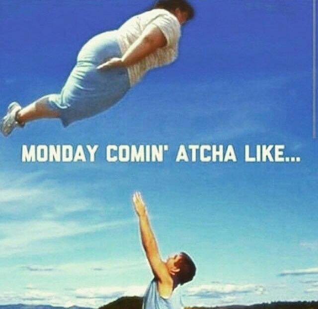 Monday's can be a ton of fun! - meme