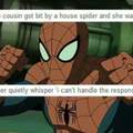 With house power comes house responsibility spiderman