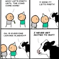 frickin cows