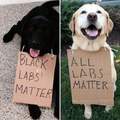 All labs matter!
