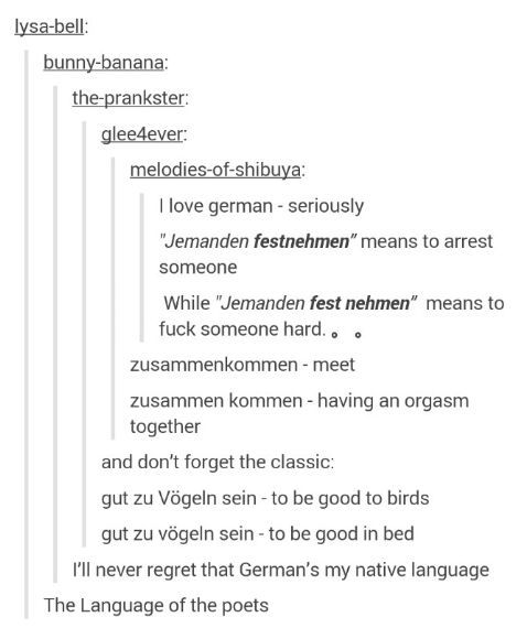 German is a great language! - meme