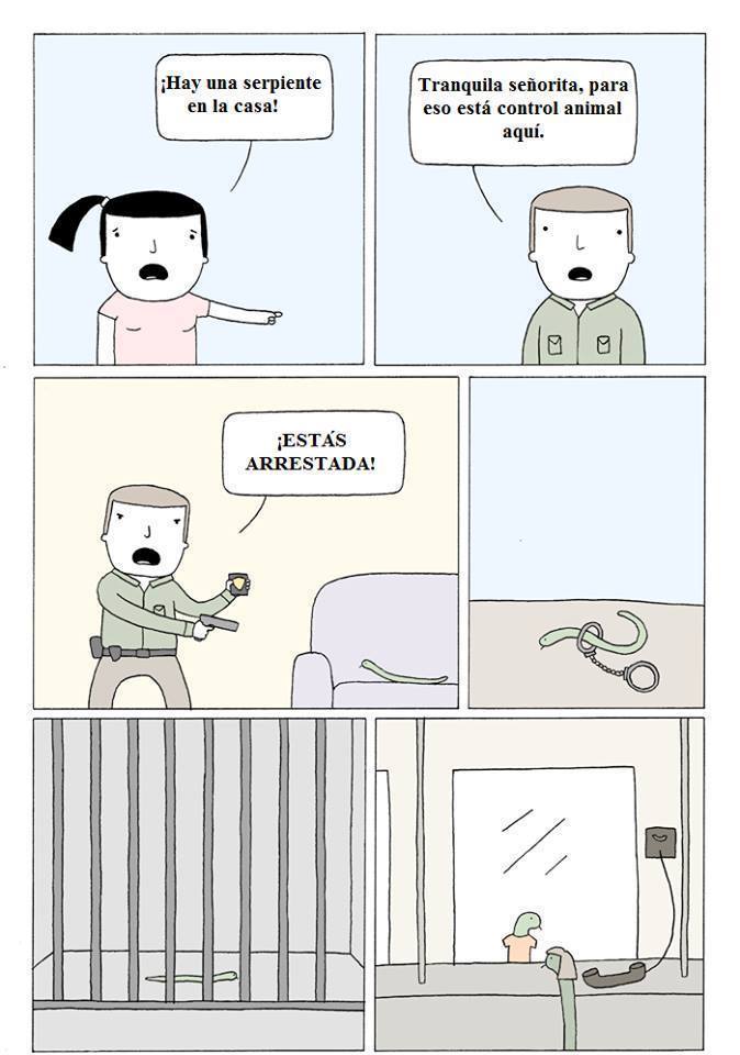 Pobre serpiente :'( - meme