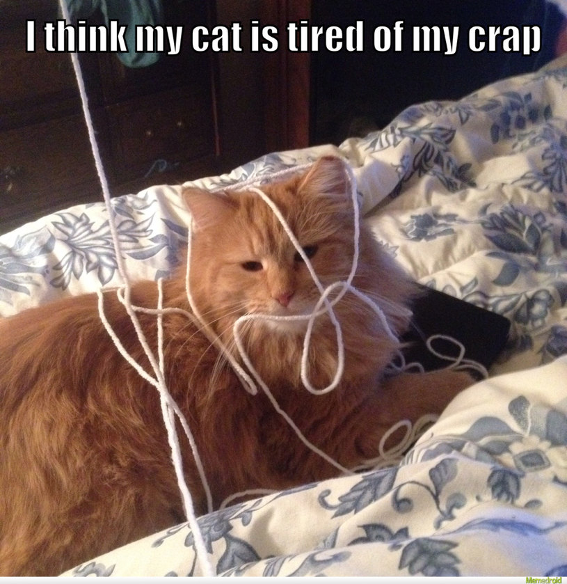 I'm just going to steal all of your yarn while you sleep and hide it - meme