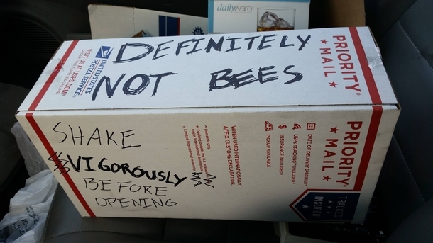 Well at least it's not bees - meme