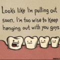 Wisdom tooth