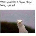 The chips are gonna be mine bitch