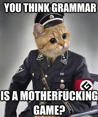 Grammar nazis, unite! - meme