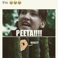 The hunger games
