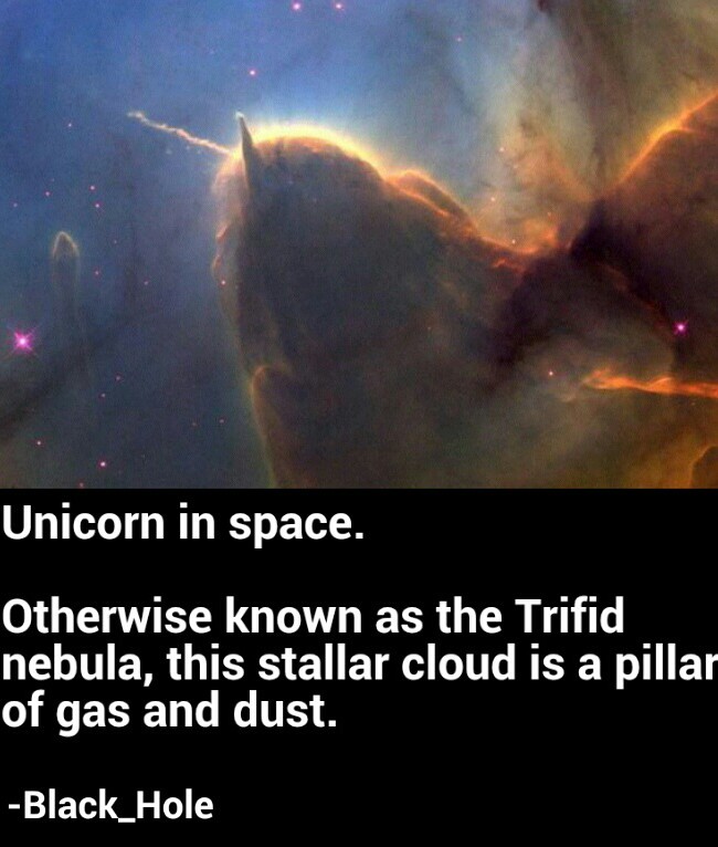Unicorn in space - meme