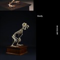 Some Animation Characters Skeletons