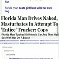 Florida man to the rescue