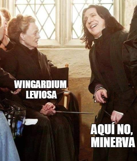 Minerva es una loquilla - meme