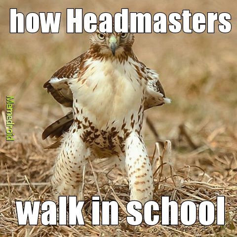 headmasters be like - meme