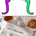 Cobra cobra cobra...