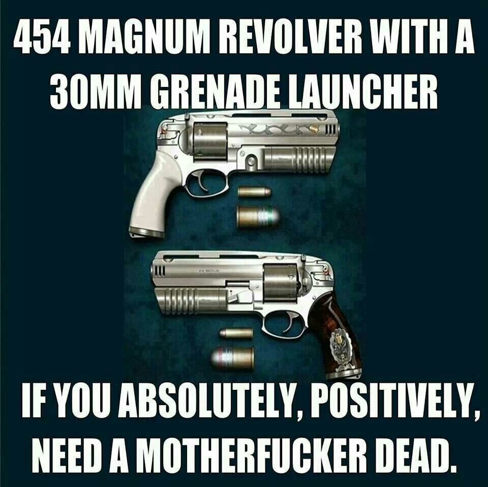 Does this not look like the 12.7 mm pistol from fallout? - meme