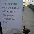 My kind of goose
