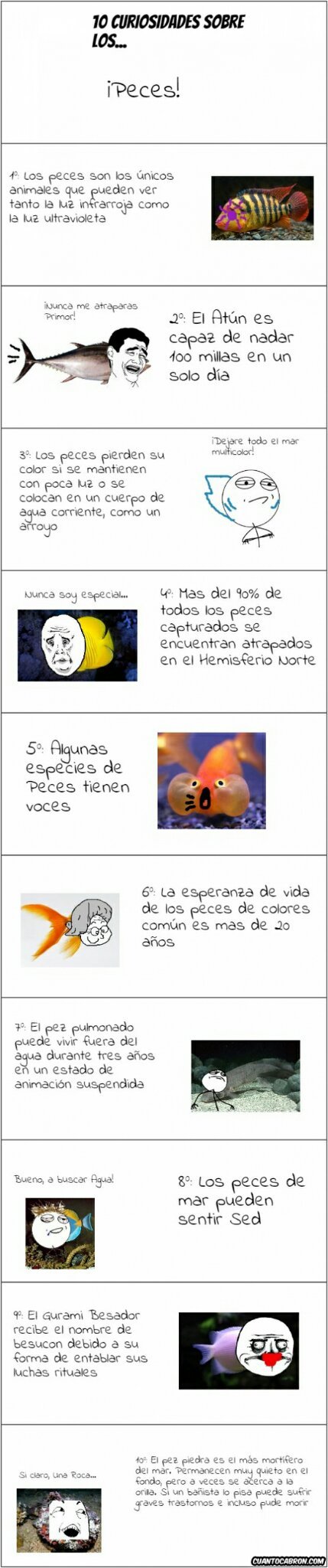 No segundo capítulo de Gênesis, filhos de Adão e Eva rendem memes na  internet – R7 Entretenimento, image size:429x2048