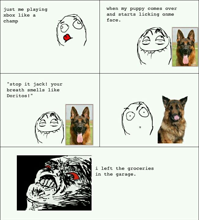 Bad dog... - meme