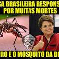 Dilma zikona
