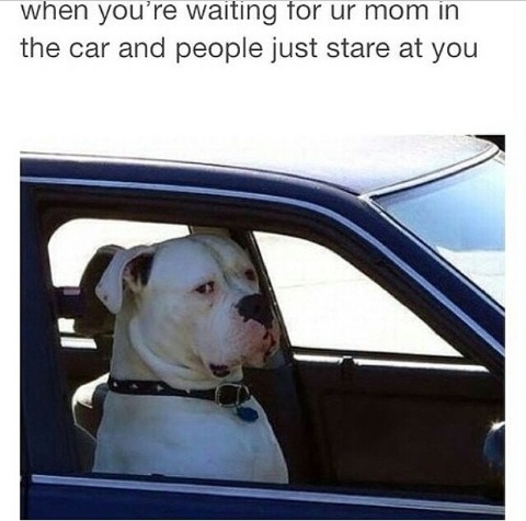 Hurry up mom! - meme