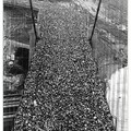 golden gate bridge's opening 1937