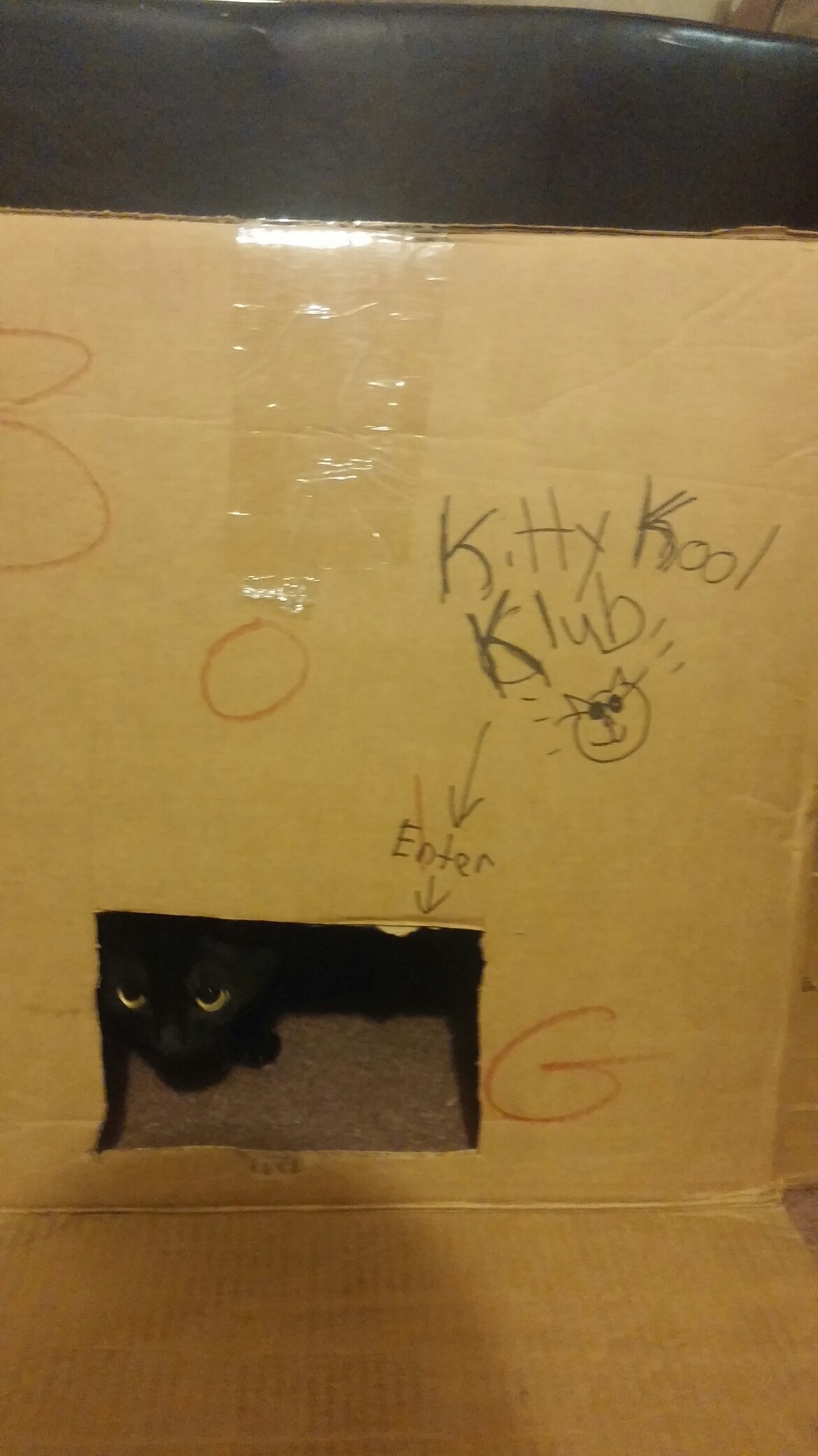 Black cat in the kkk - meme