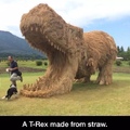 A T-Rex