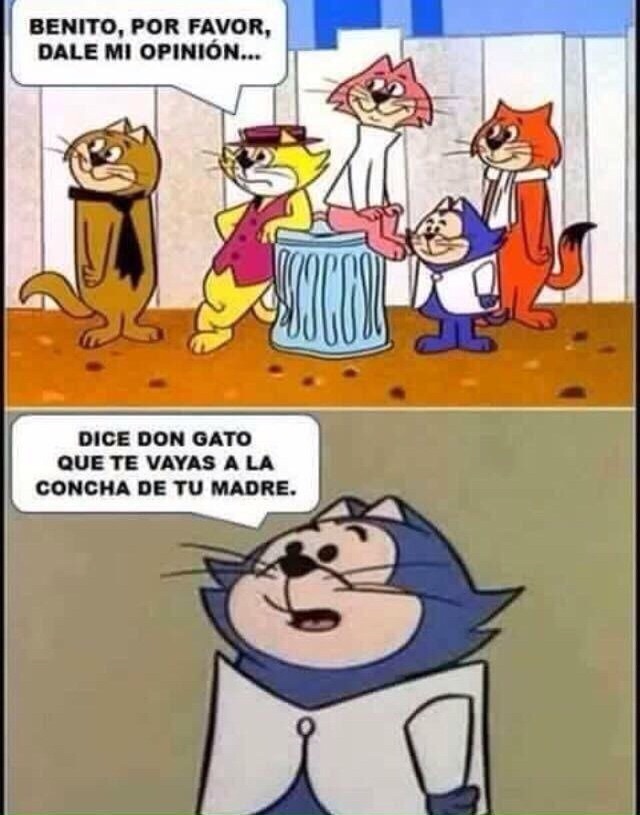 La concha de tu madre