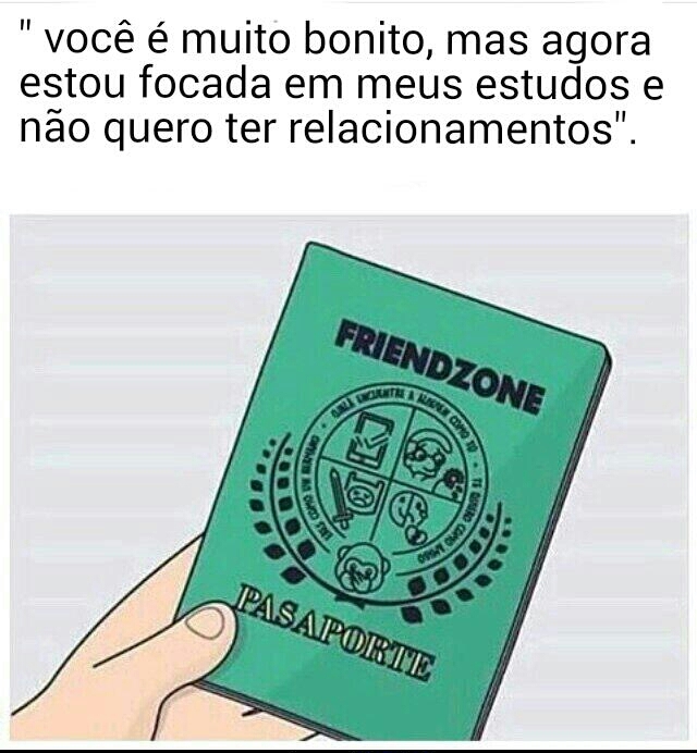 Passaporte da friendzone :feelbro: - meme