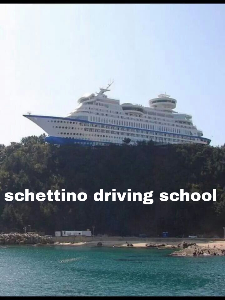 Schettini driving school - meme