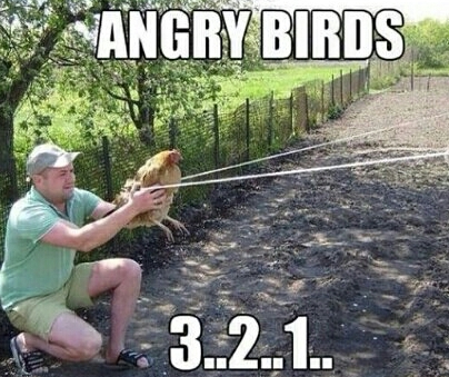 Anche a voi piace la musichetta di angry birds?? - meme