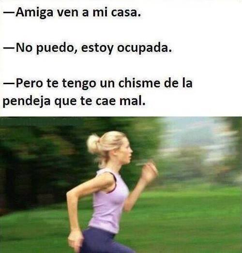 CORRE PENDEJA, CORRE - meme