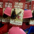 Chickens....everywhere