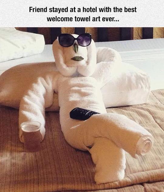 Best towel - meme