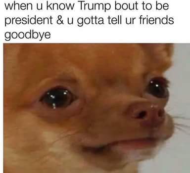 Goodbye my lover - meme