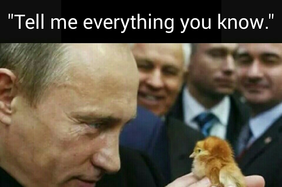 Putin - meme