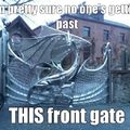 this gate's the shiz