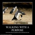 Penguin with purpose
