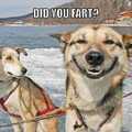 Did you fart?