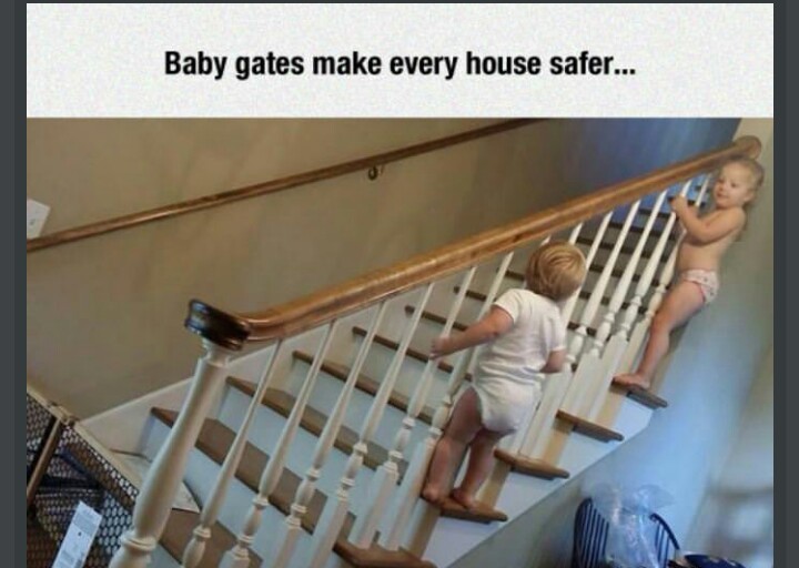 baby gates - meme