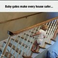 baby gates