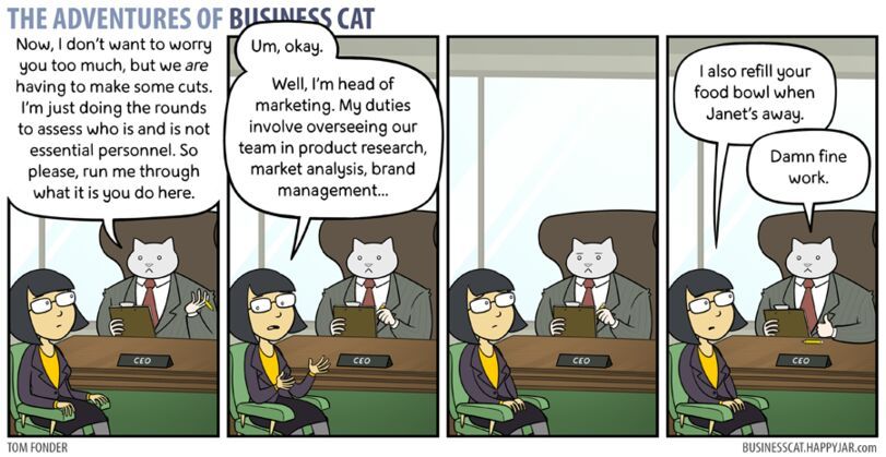 how to please the business cat - meme