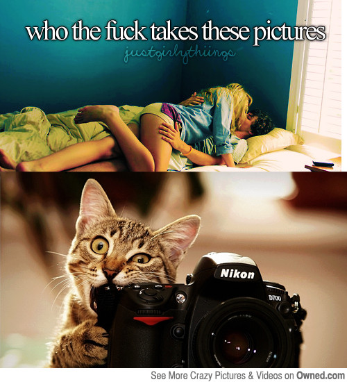 2nd comment is a cat with a camera - meme