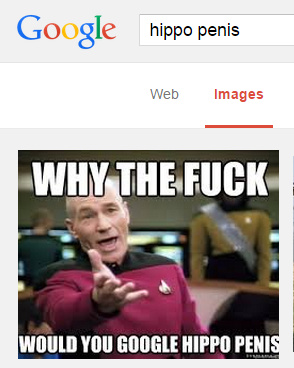 Just Googling and the first pic I got - meme