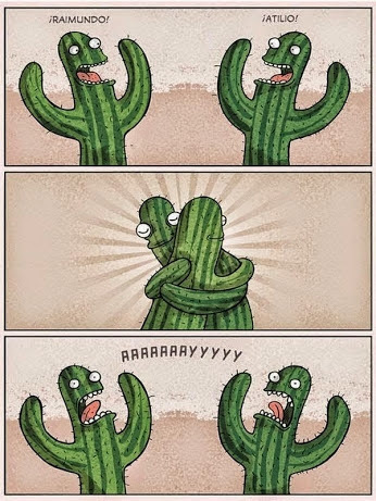 El título es un cactus - meme