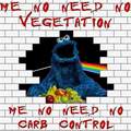 Pink Floyd + Sesame Street = ...