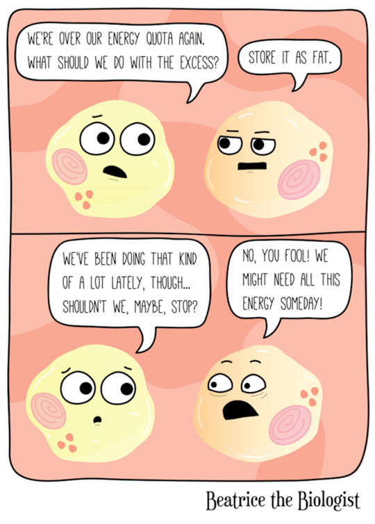 fat cells - meme