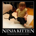 Ninja kitten